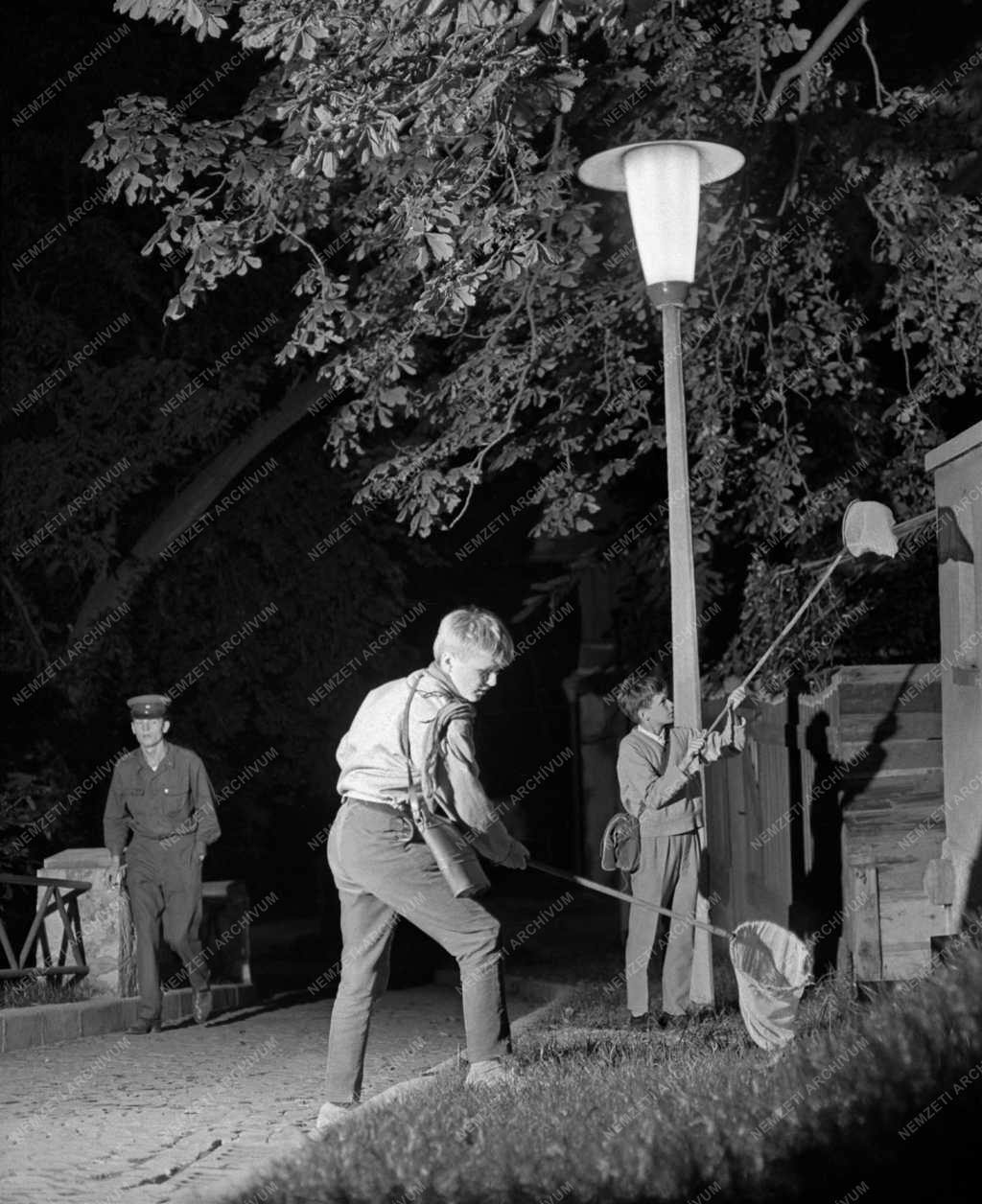 Tudomány - Ifjú természettudós testvérpár Miskolcon