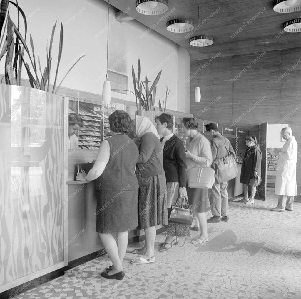 Egészségügy - Kereskedelem - Szigetvári új gyógyszertár