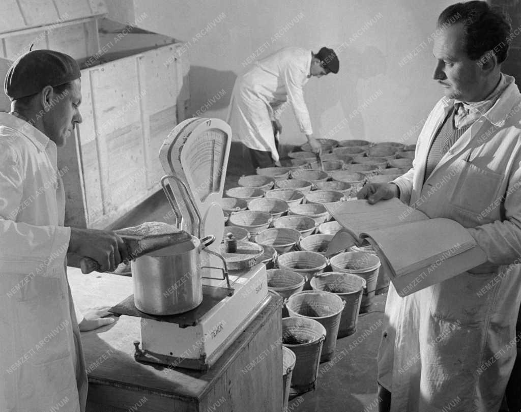 Állattenyésztés - Gödöllői Sertéshízékonysági Vizsgáló Állomás
