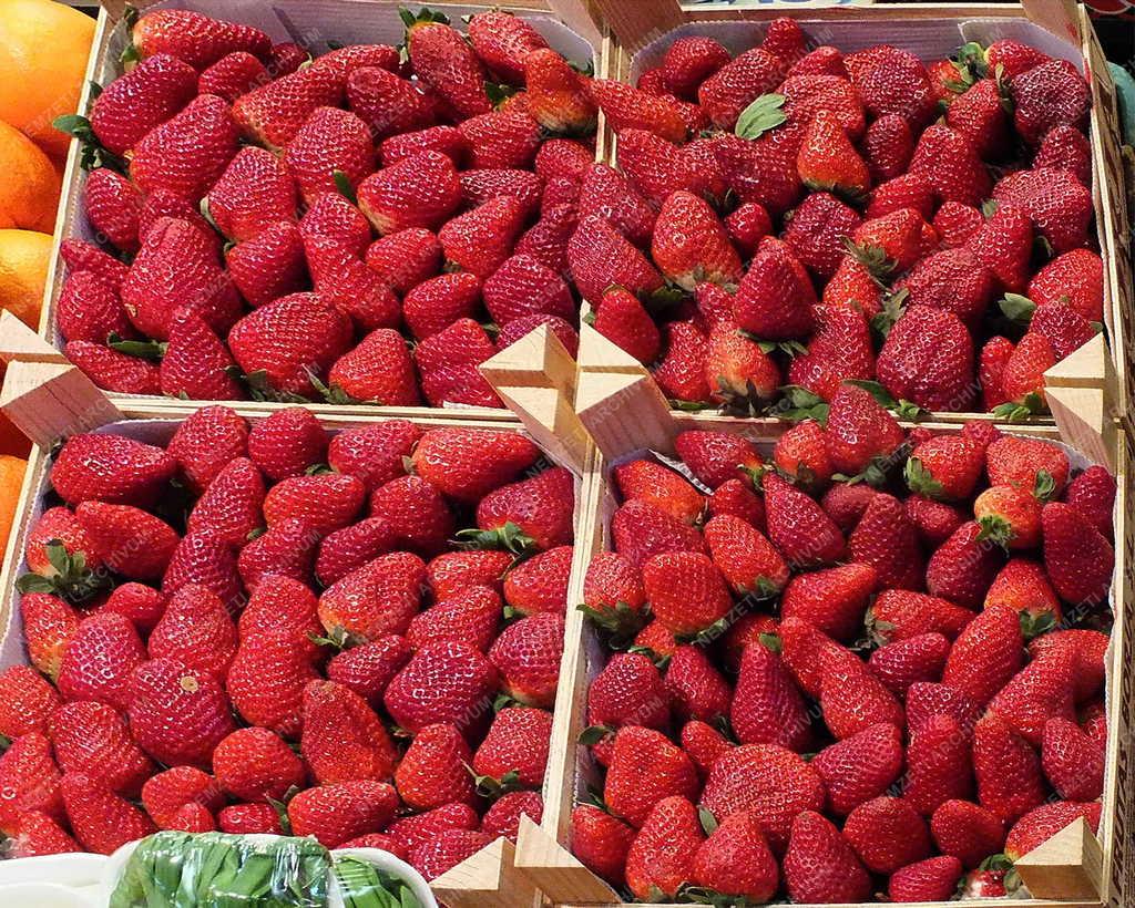 Kereskedelem - Budapest - Központi Vásárcsarnok