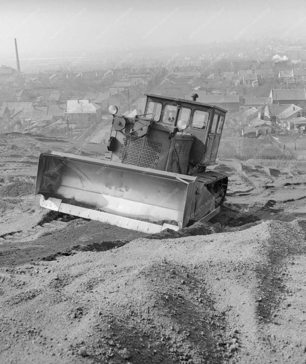 Környezetvédelem - Növényzettel telepítik be a pécsi salakhegyet