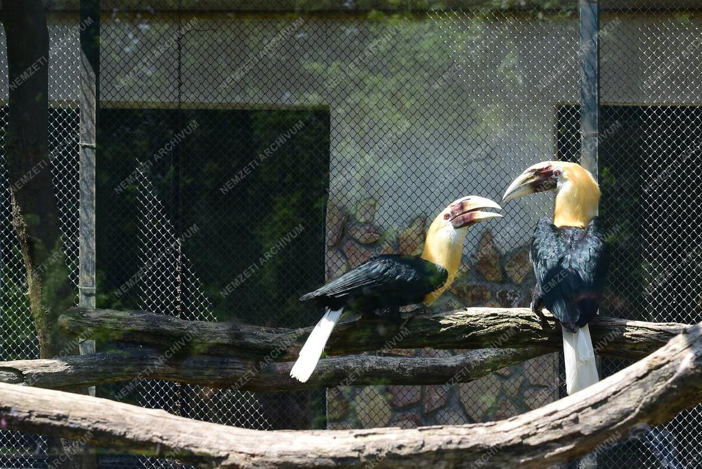 Állatvédelem - Nyíregyházi Állatpark