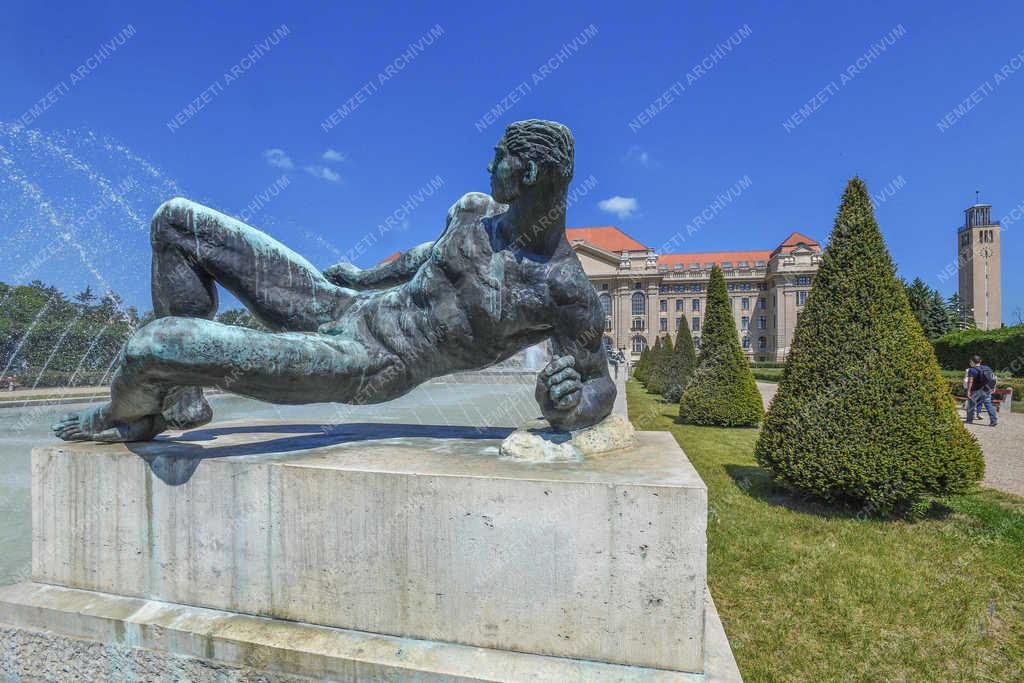Városkép - Debrecen - Az egyetem francia parkja 