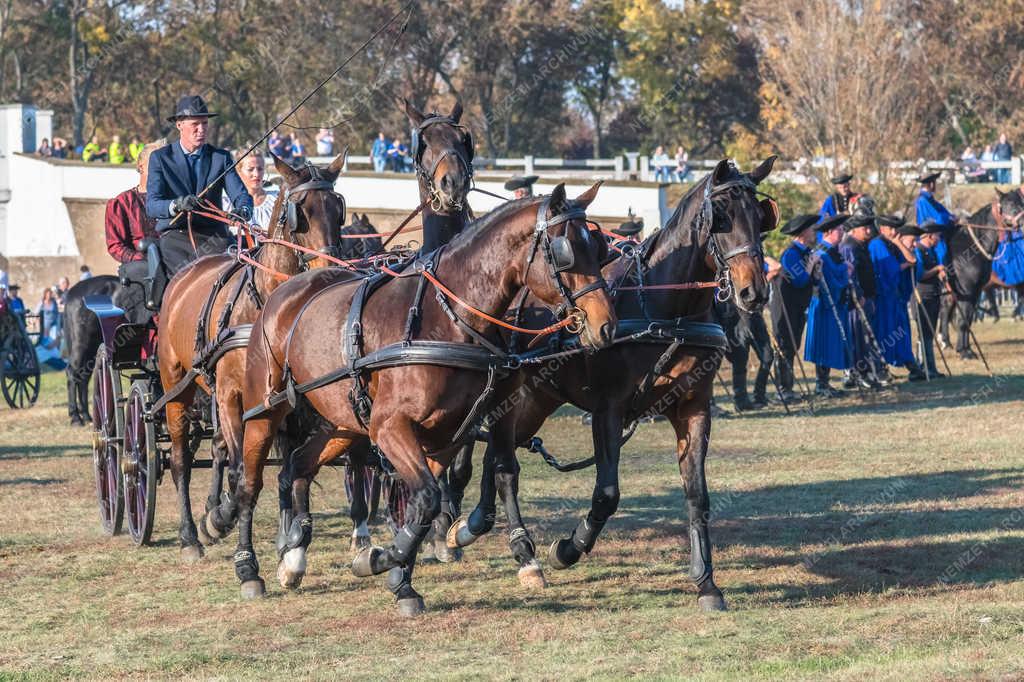 Turizmus - Hortobágy - Négyes fogat