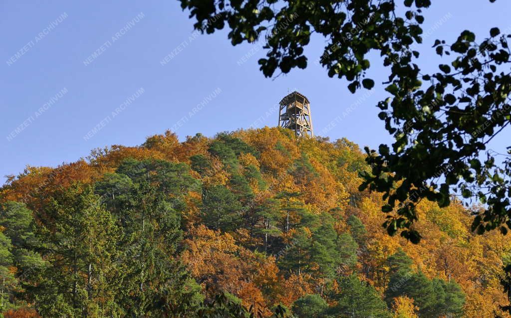 Turizmus - Királyrét - Várhegy-kilátó a Börzsönyben