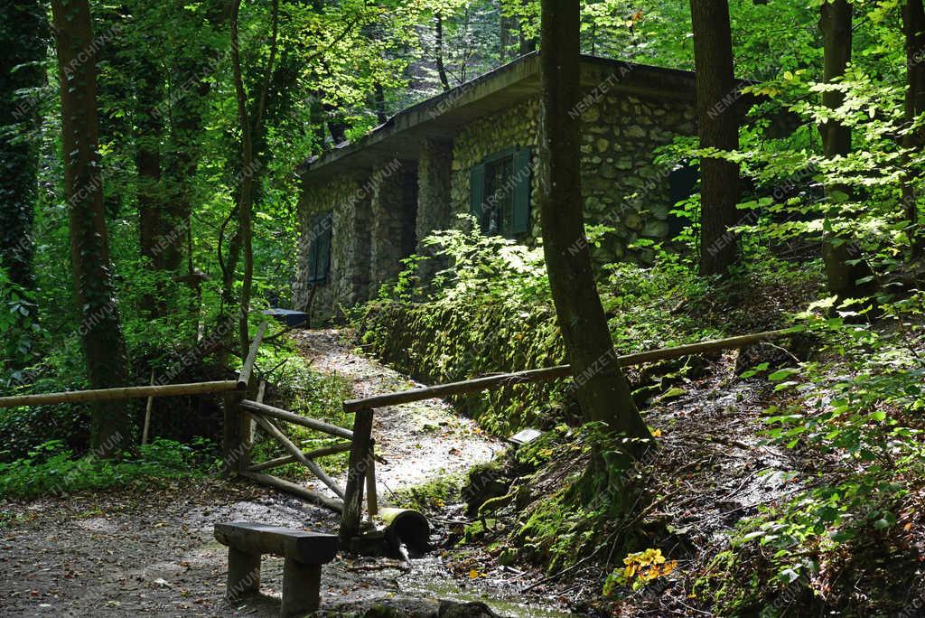 Természet - Szilvásvárad - Szalajka-völgy