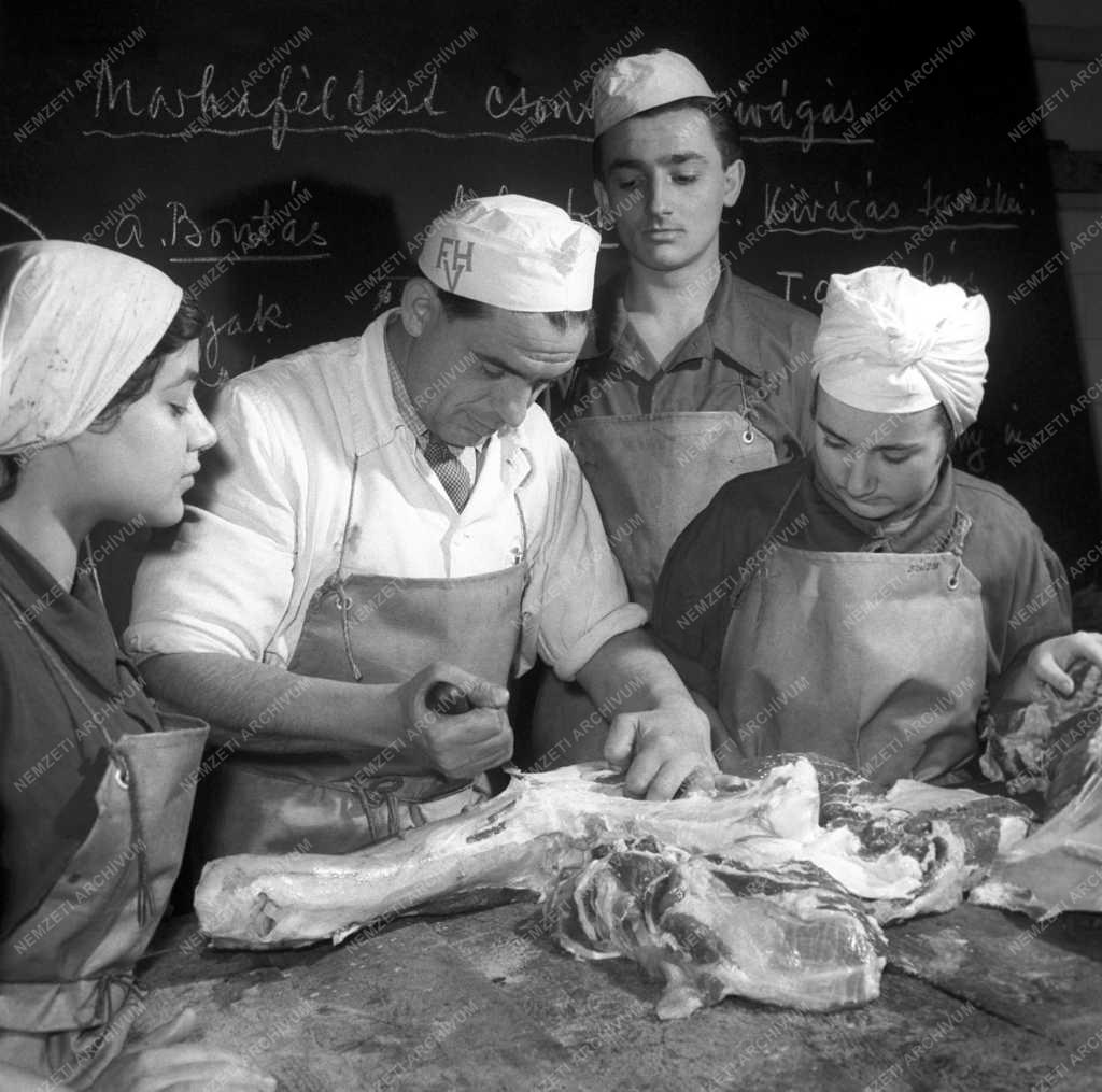 Oktatás - Tartósító és Húsipari Technikum