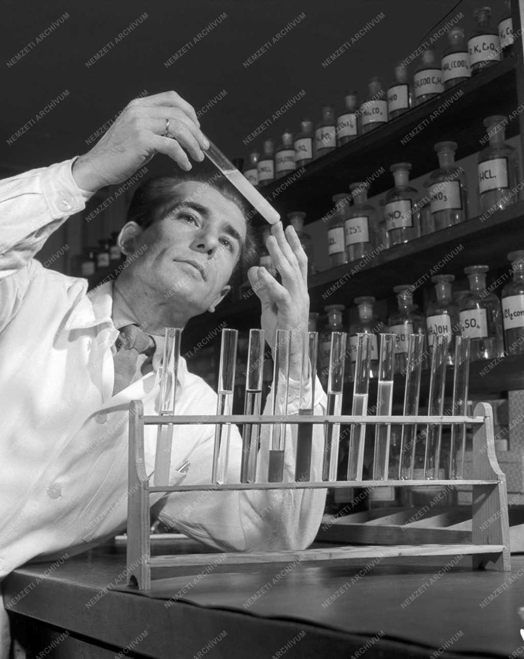 Egészségügy - Gyógyszerkészítő központi laboratórium Miskolcon