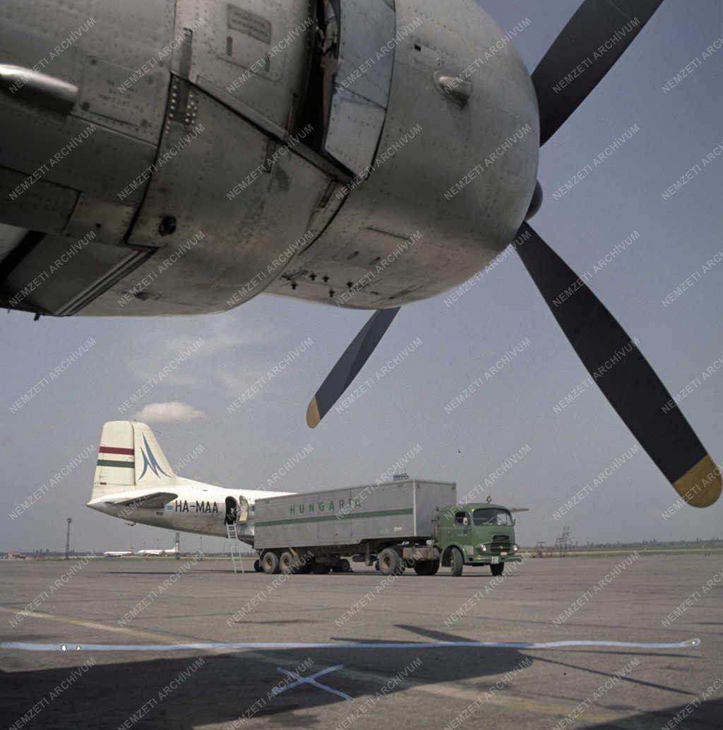 Szállítás - Hűtőkamion szállítja az élelmiszert a repülőtérre