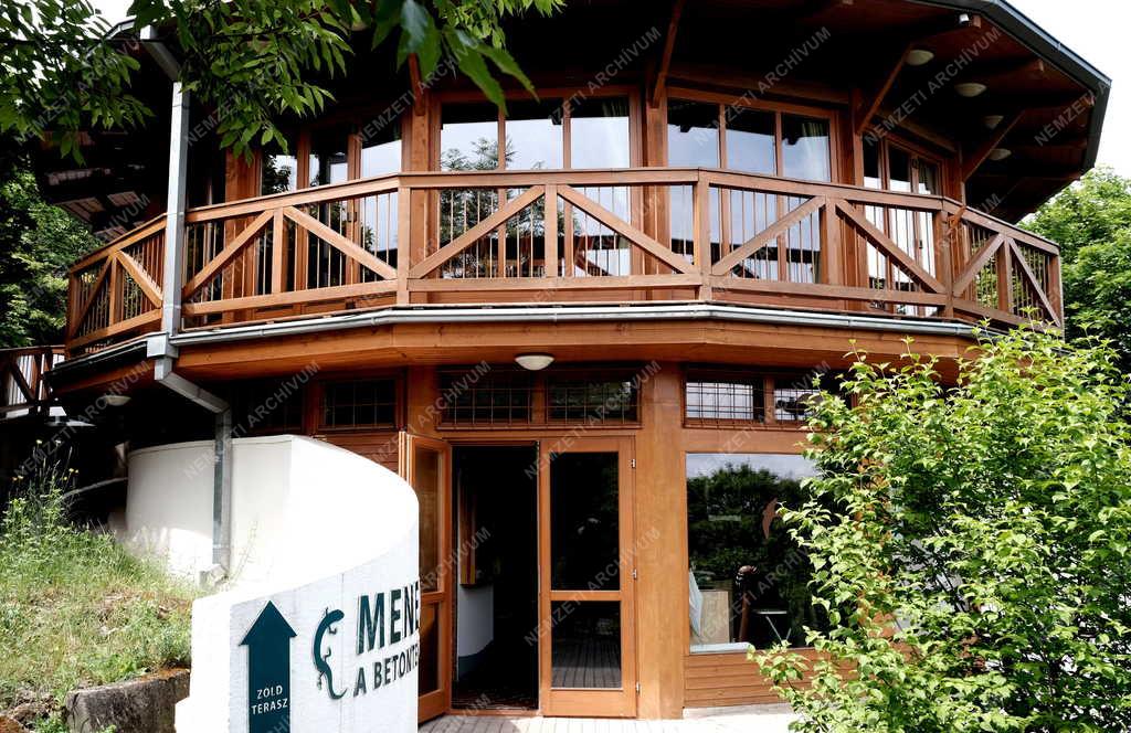 Természetvédelem - Budapest - Sas-hegy tanösvény