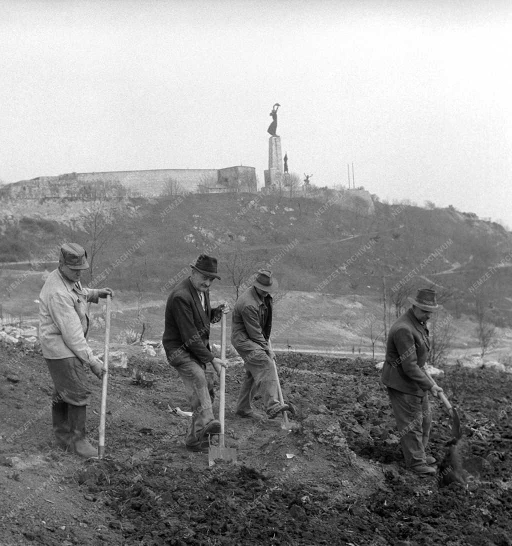Városkép - Április közepéig befejezik a tereprendezést a Jubileumi parkban 