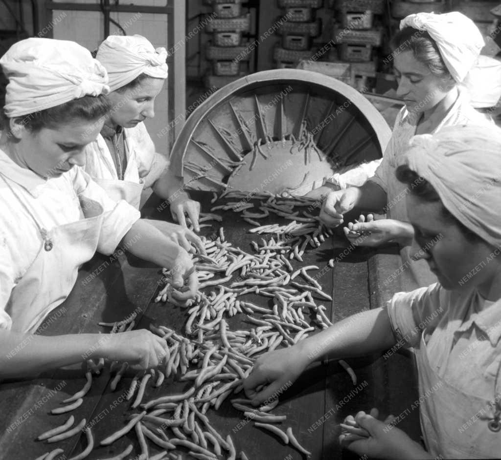 Élelmiszeripar - Miskolci Hűtőipari Vállalat hűtőháza