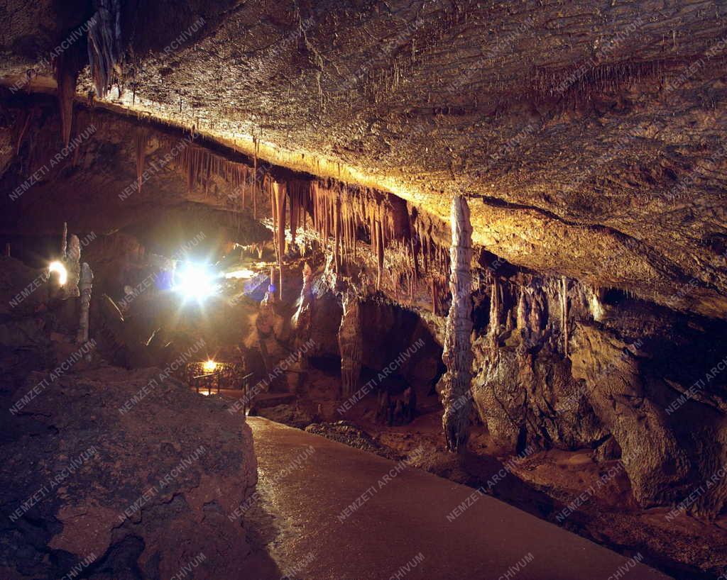 Természet - Aggtelek-Jósvafő