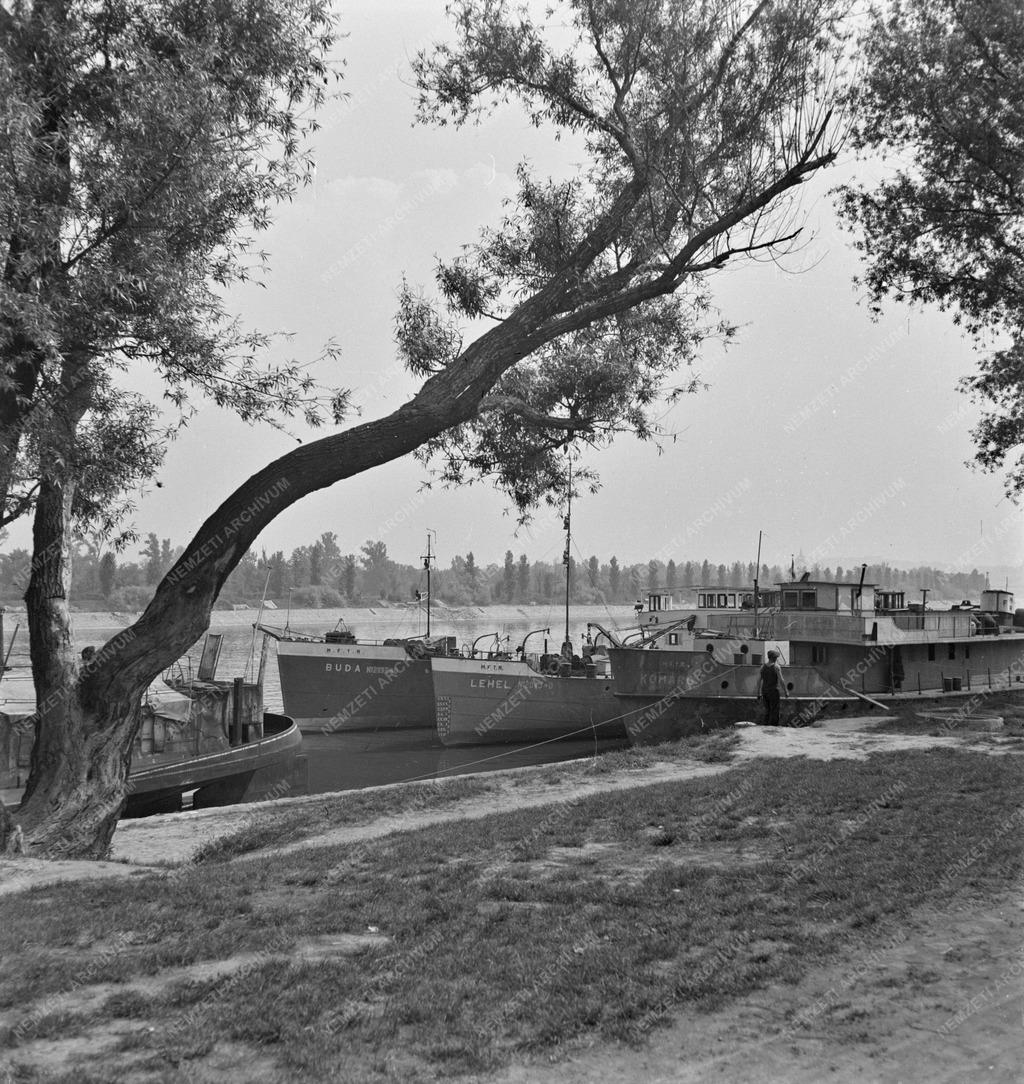 Közlekedés - A II. világháborút követően Ausztriából hazatért hajók