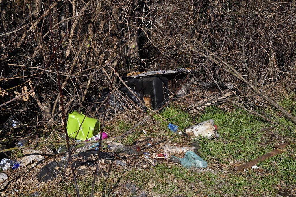 Rákosrendezői rozsdaövezet