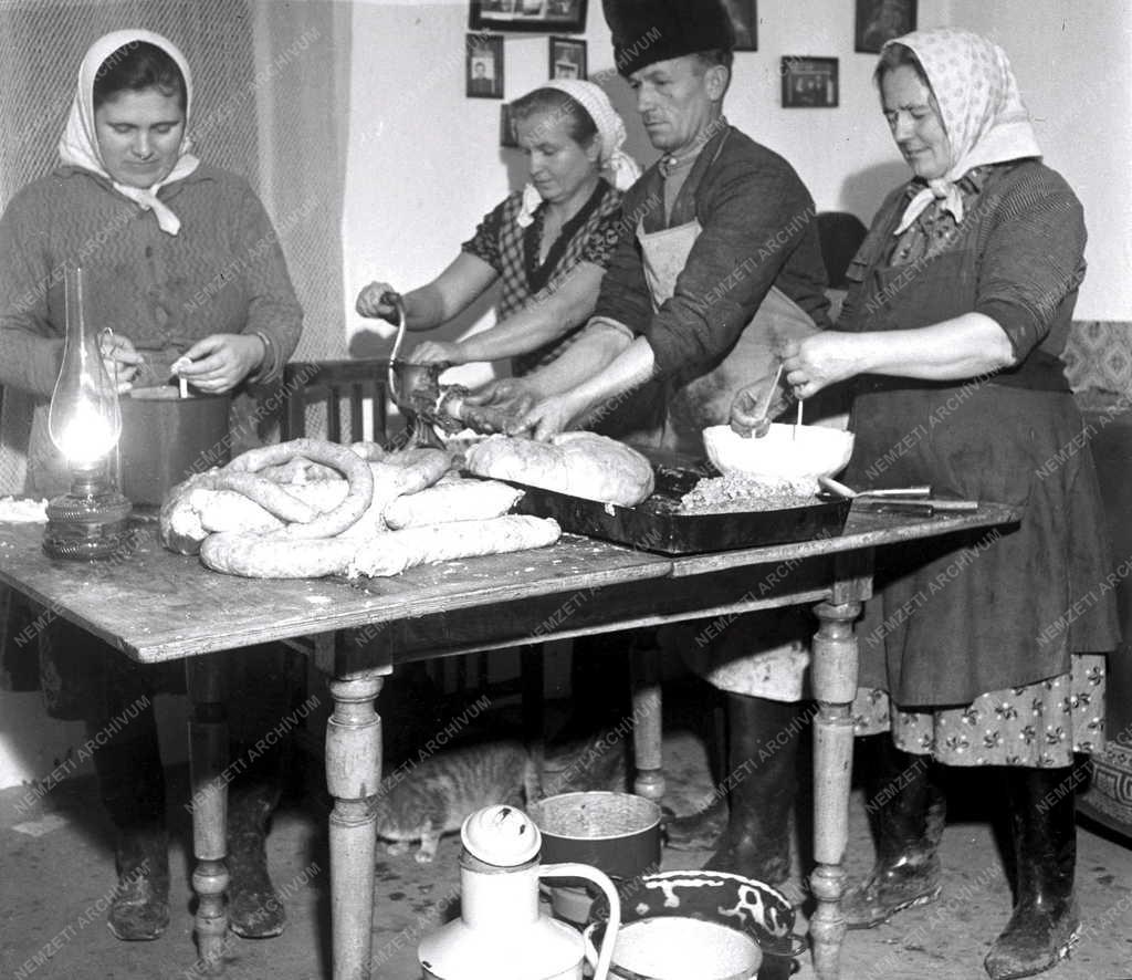 Gazdaság - Termelőszövetkezet