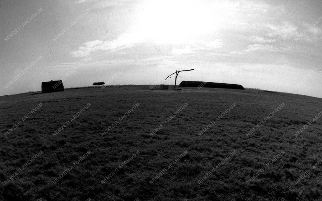 Idegenforgalom - Hortobágy