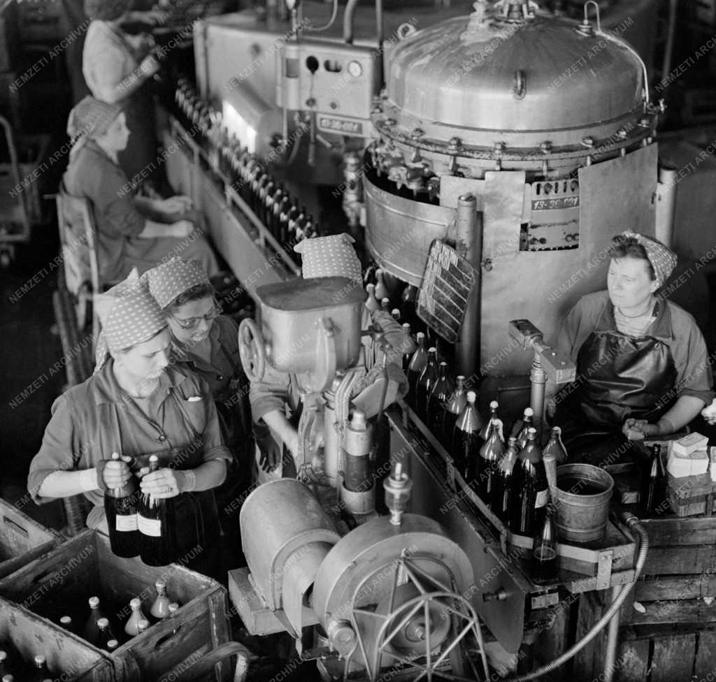 Élelmiszeripar - Fejlesztés a pécsi Pannónia Sörgyárban