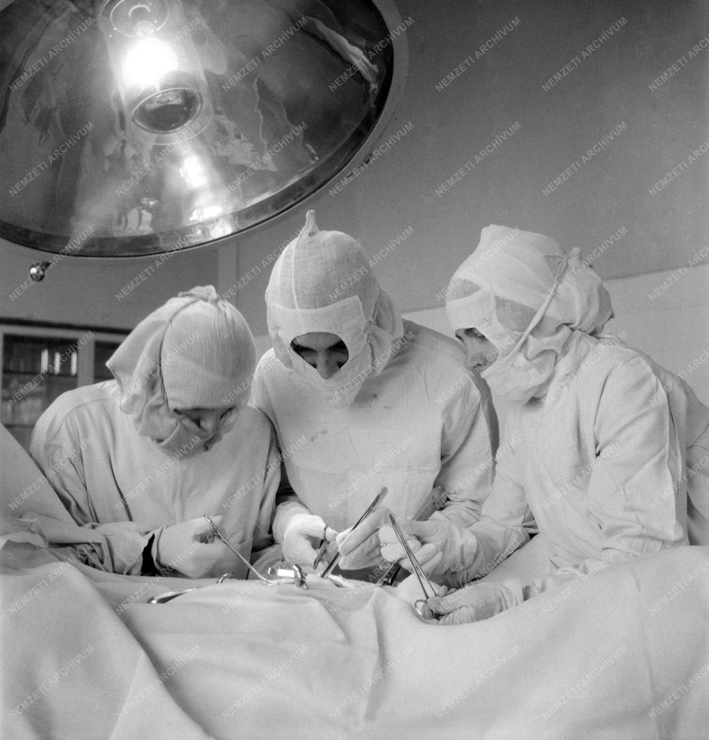 Egészségügy - Diósgyőr-Vasgyári Kórház