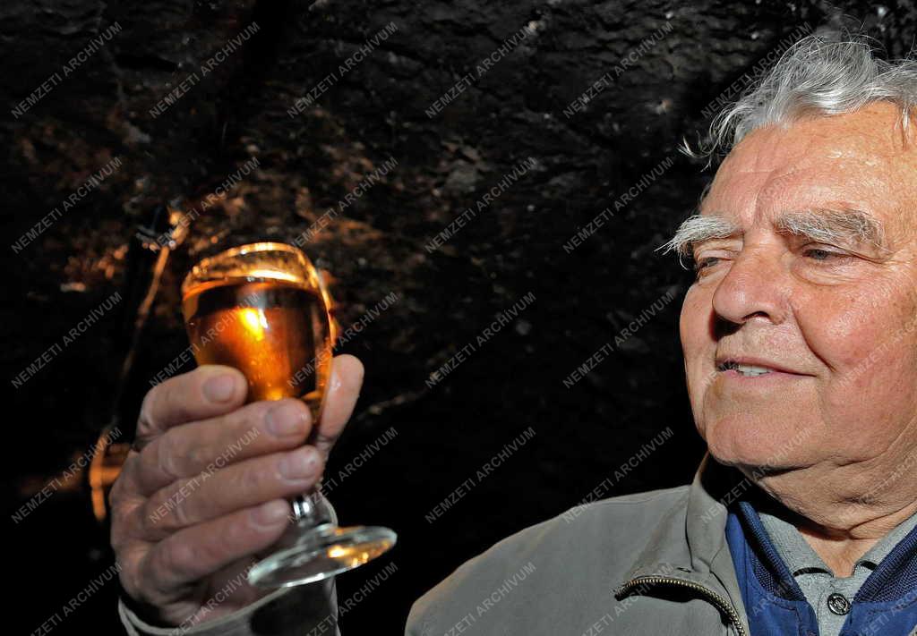 Portré - Tokaj - Lakatos Lajos borosgazda