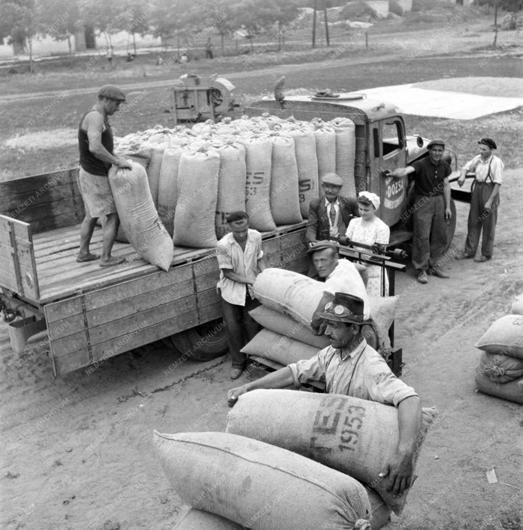 Mezőgazdaság - Őszi árpa beadása 