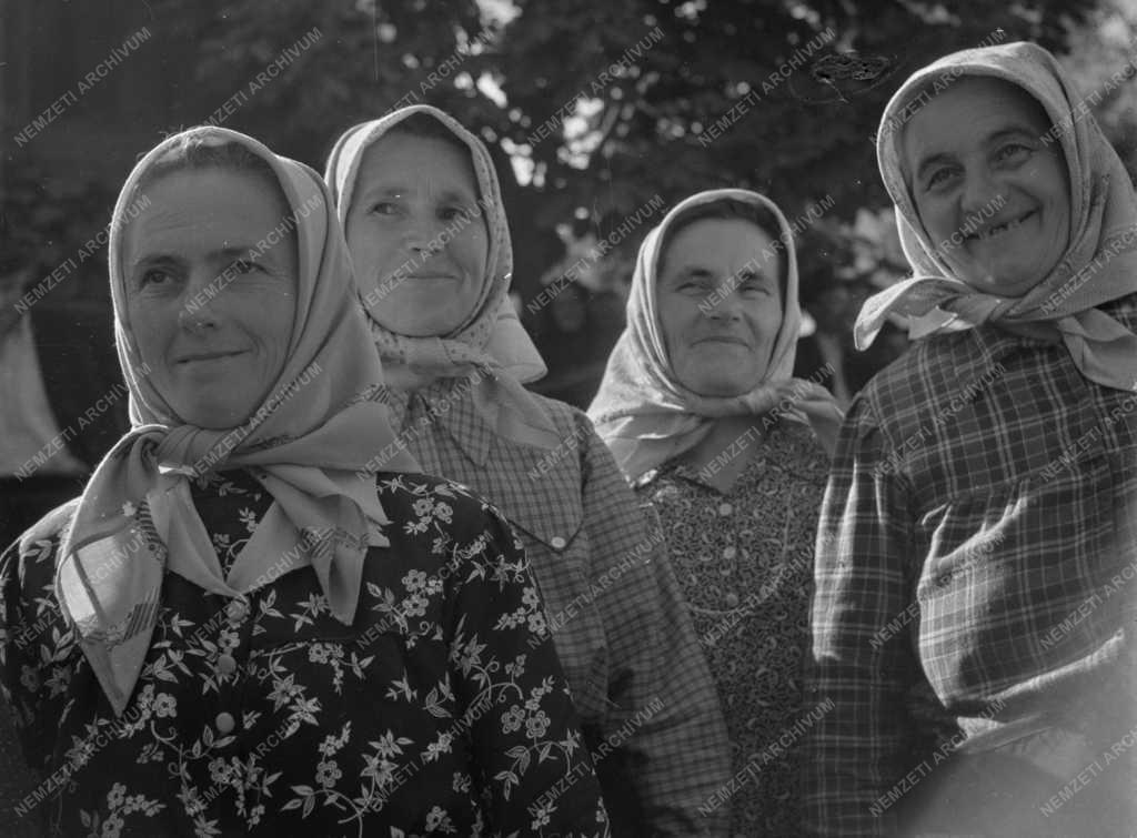 Kultúra - Aratási békeünnep Ecséden