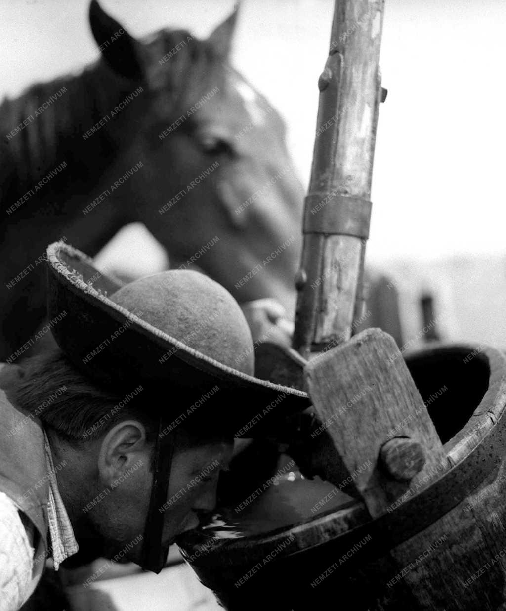 Idegenforgalom - Hortobágy