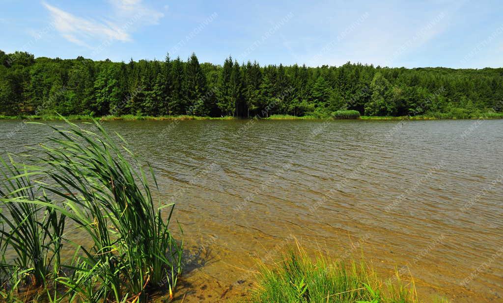 Őrségi Nemzeti Park - Máriaújfalu - Víztározó