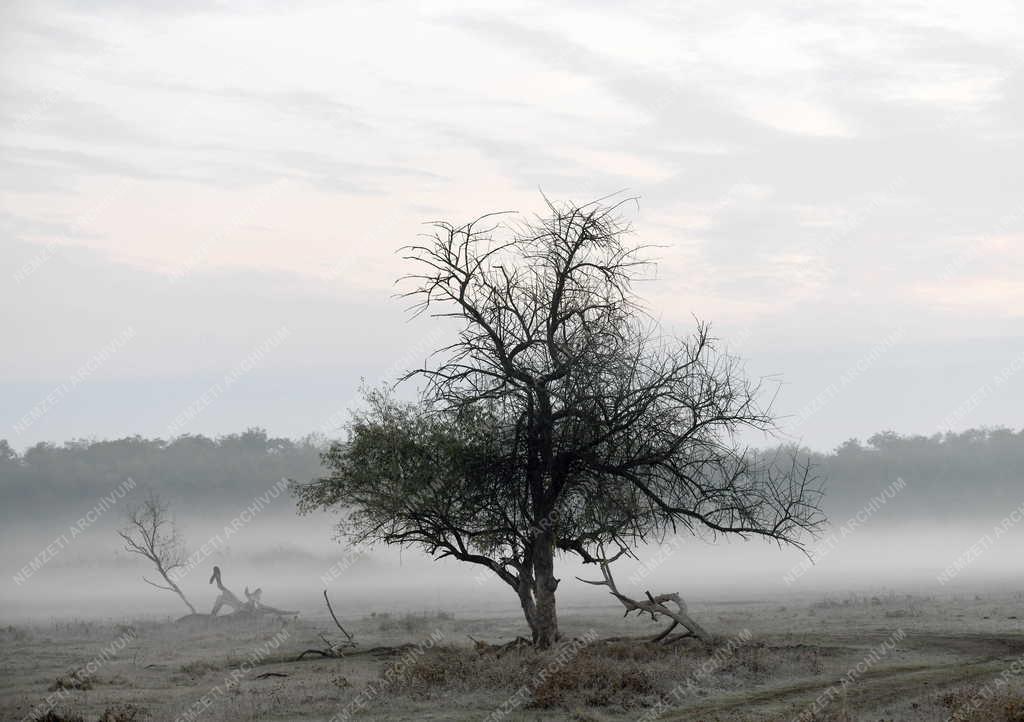 Tájkép - Természet - Ősz a Hortobágyon