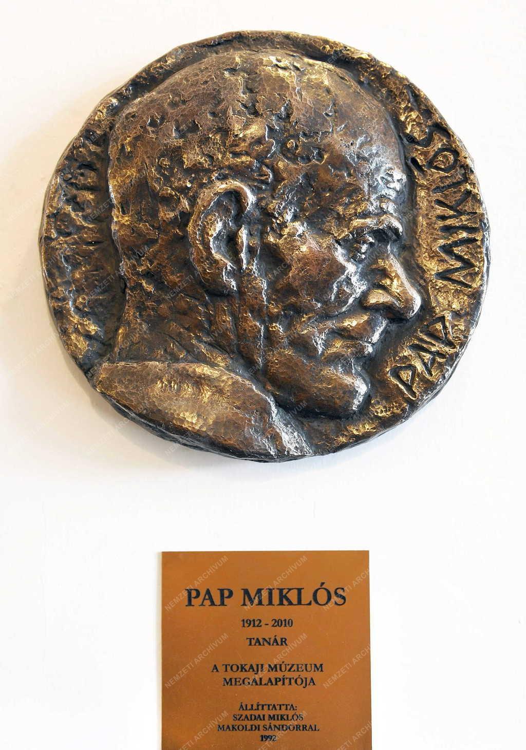 Műalkotás - Tokaj - Pap Miklós domborműve