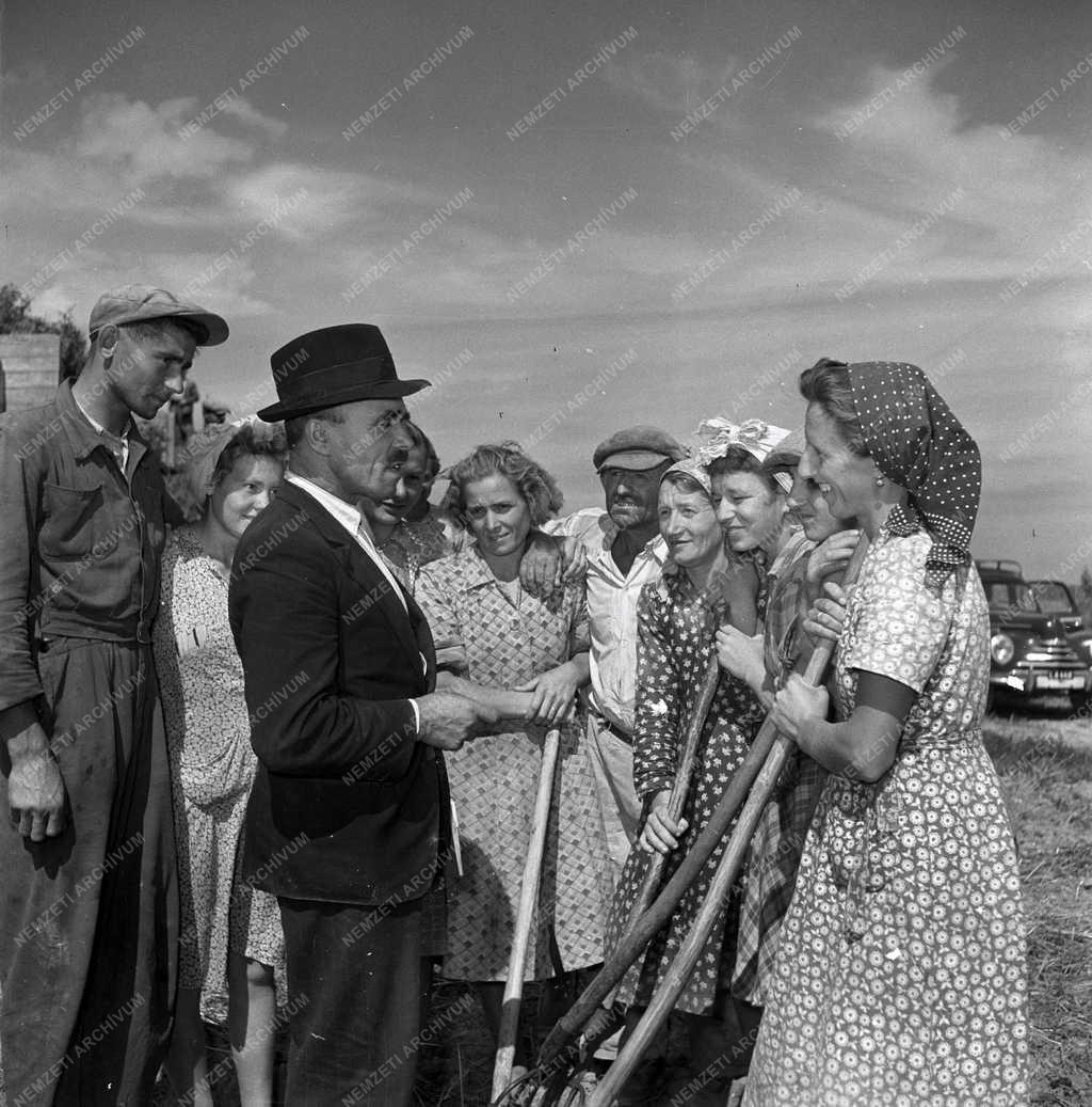 Mezőgazdaság - Tsz-szervezés