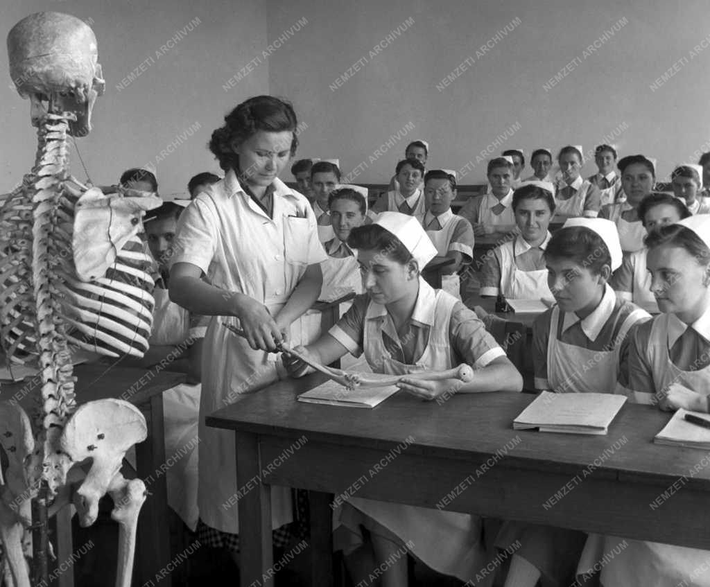 Oktatás - Turjanica Anna Állami Csecsemő Gondozónő–Képző Intézet