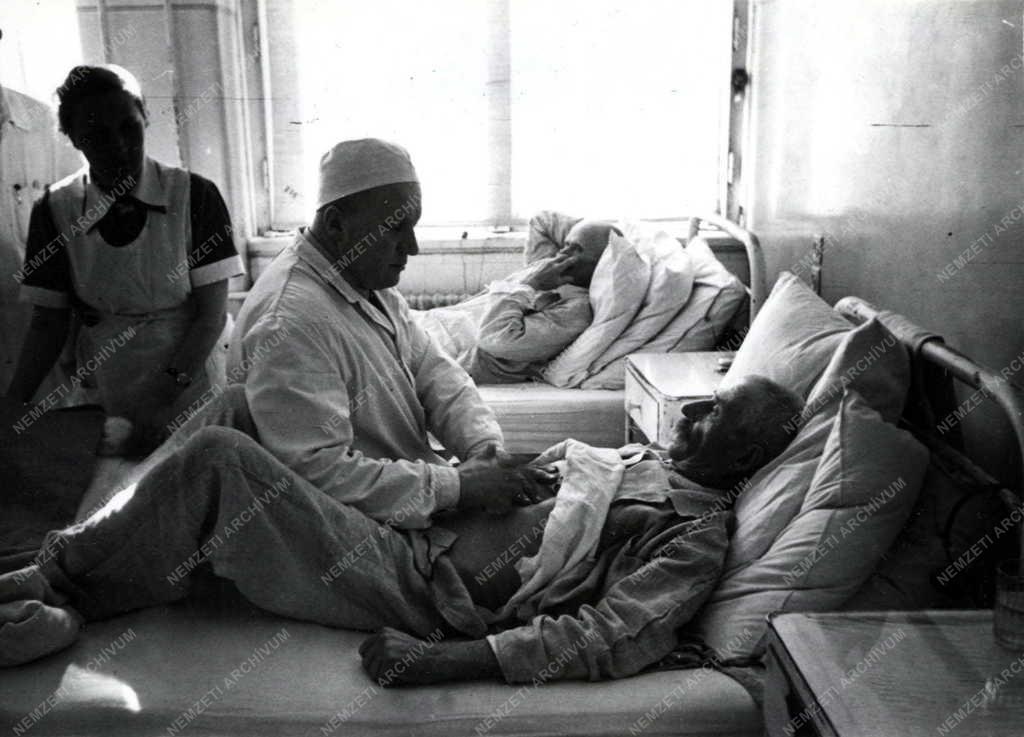 Egészségügy - Petrovszkij Budapesten