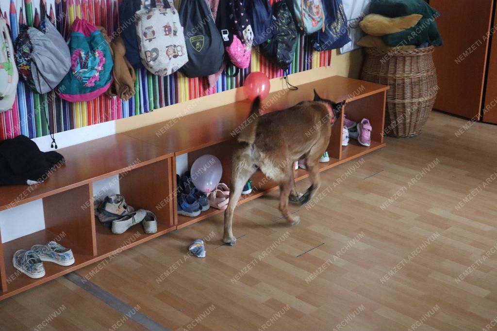 Bombafenyegetés - Ellenőrzés az iskolákban