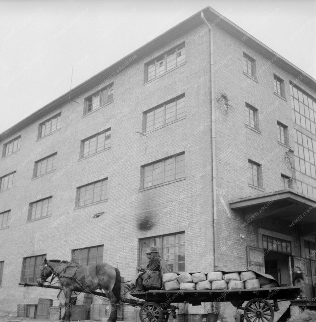 Gazdaság - Magyar Országos Szövetkezeti Központ