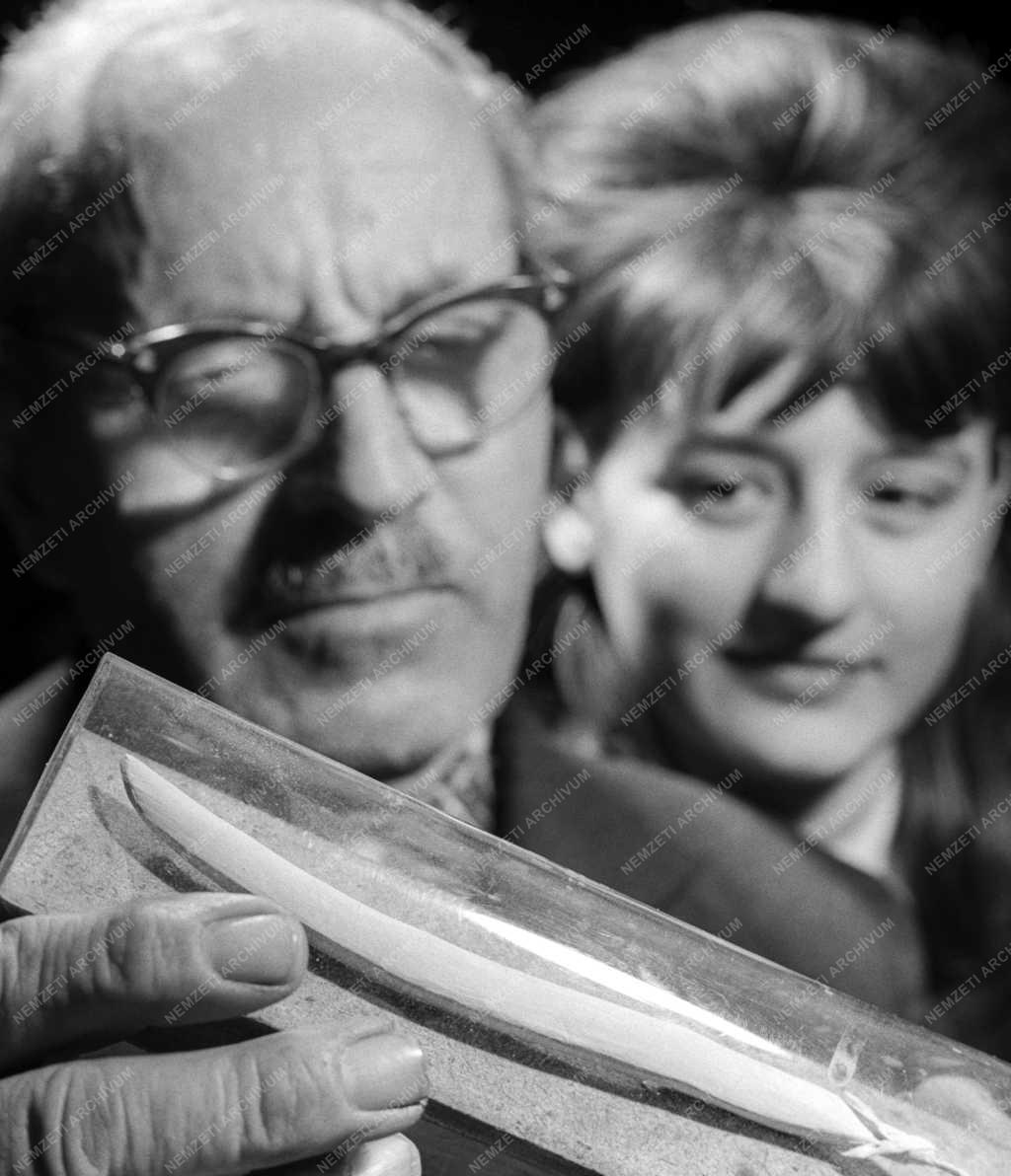 Mezőgazdaság - Oktatás - Elméleti továbbképzés a zöldségtermesztők számára