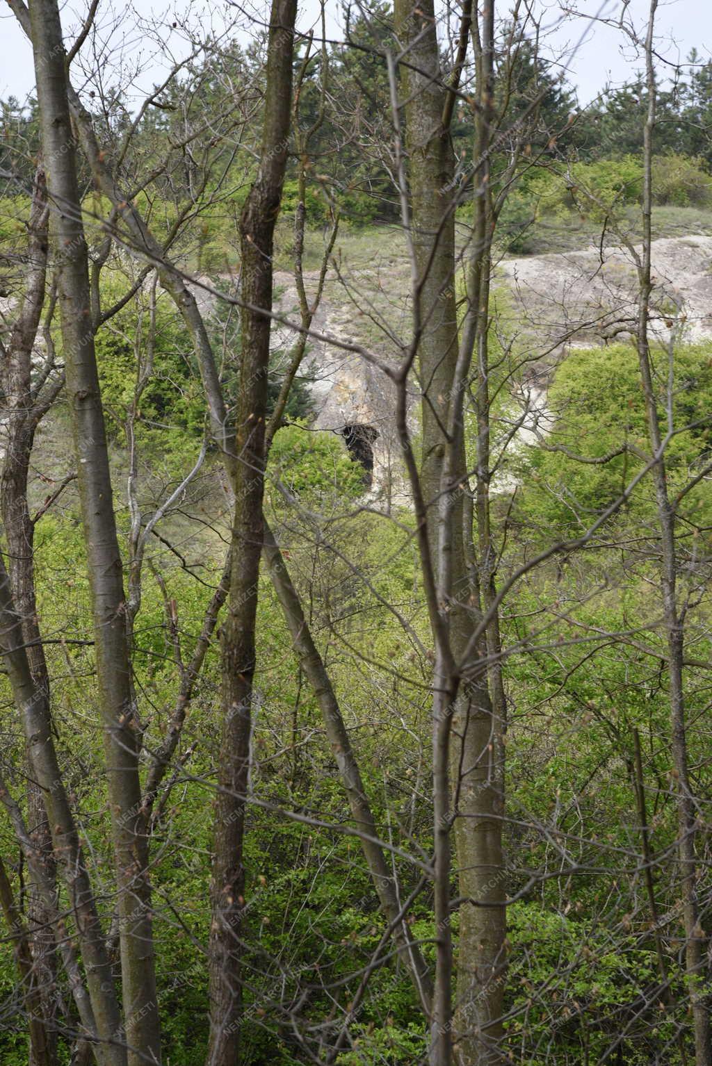 Természet - Egerszalók - Kaptárkő