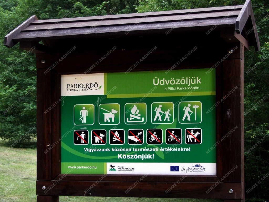 Természetvédelem - Erdei tájékoztató
