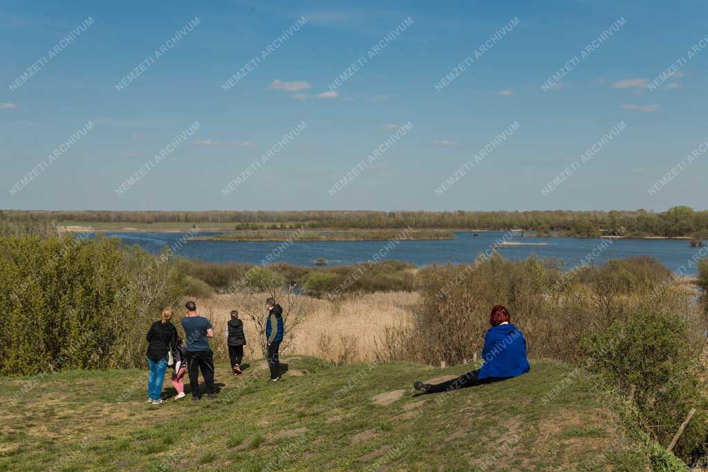 Tájkép - Tiszaalpár