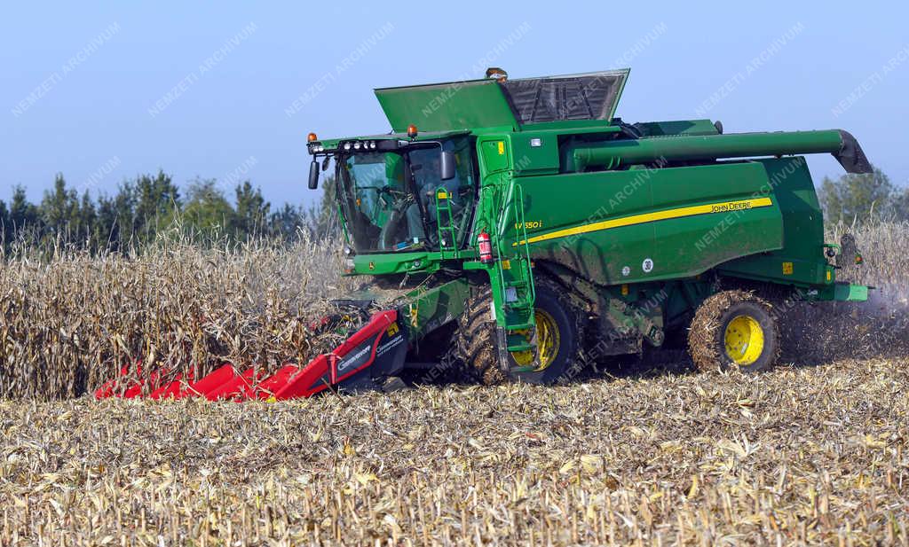 Mezőgazdaság - Debrecen - Kukorica betakarítás