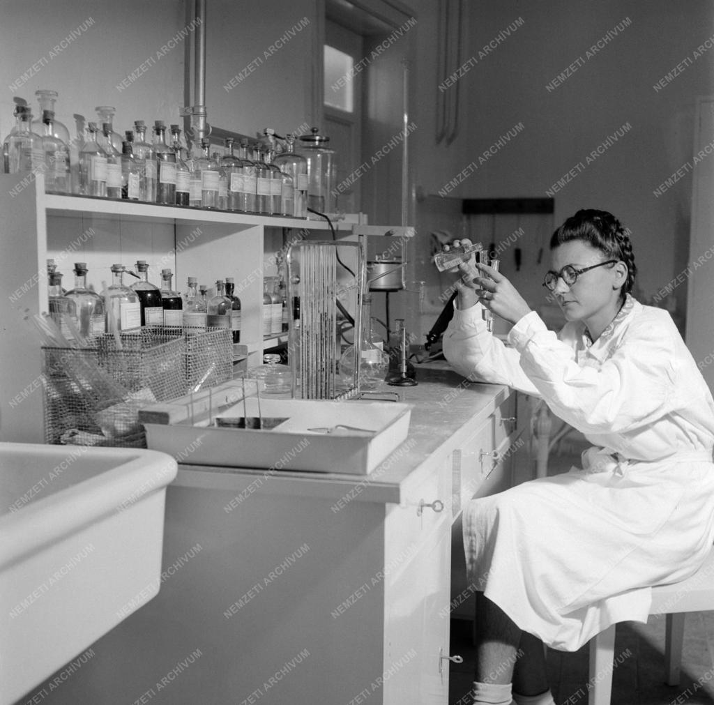 Egészségügy - MABI tüdőszanatórium