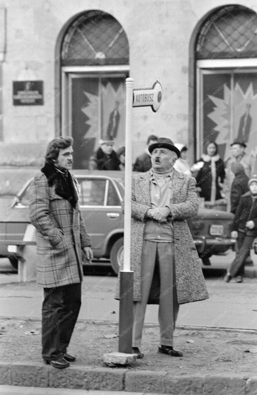 Kultúra - Televízió - Az Alfonzó Show című tv-műsor forgatása