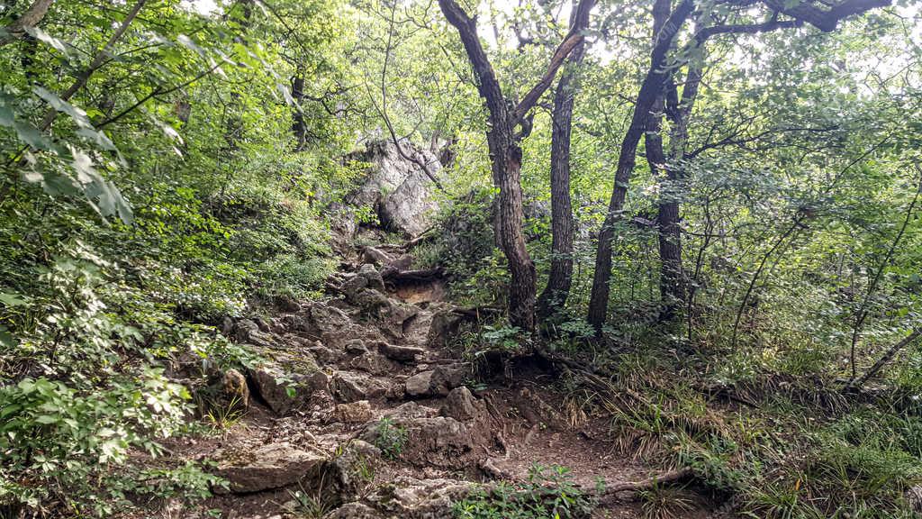 Természet - Budapest - Hármashatár-hegy