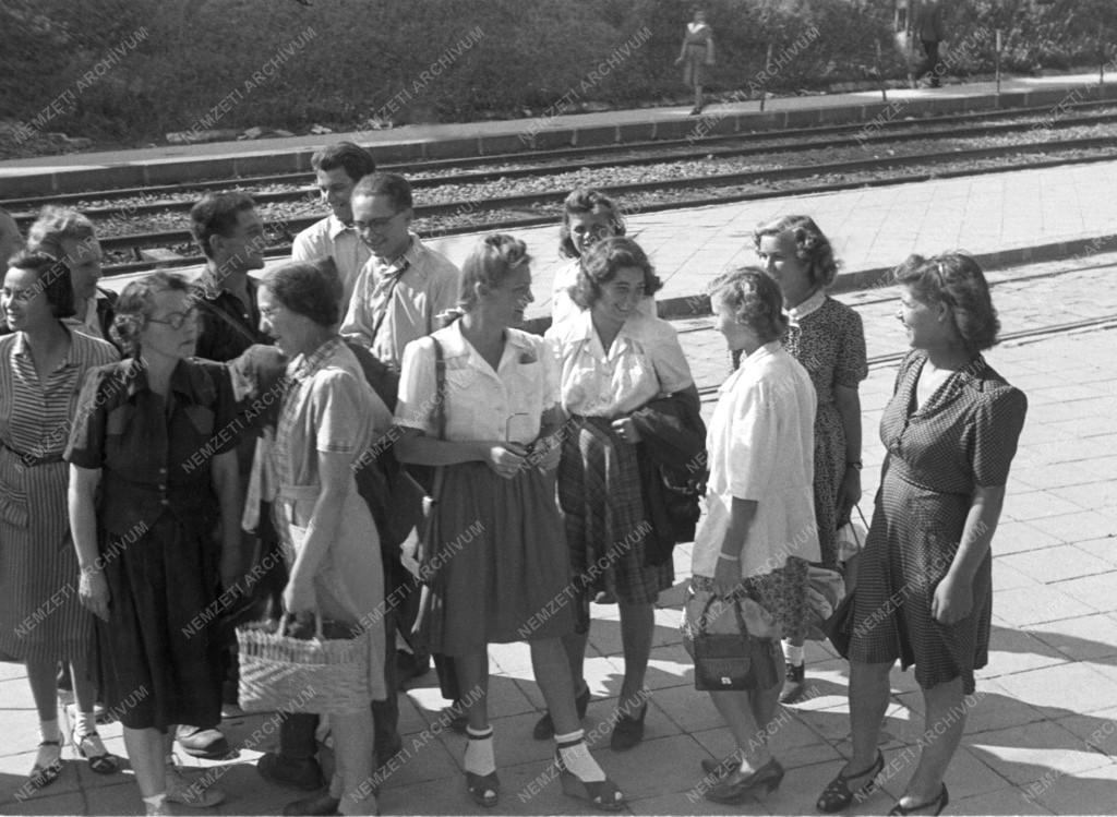 Belpolitika - Nőmozgalom