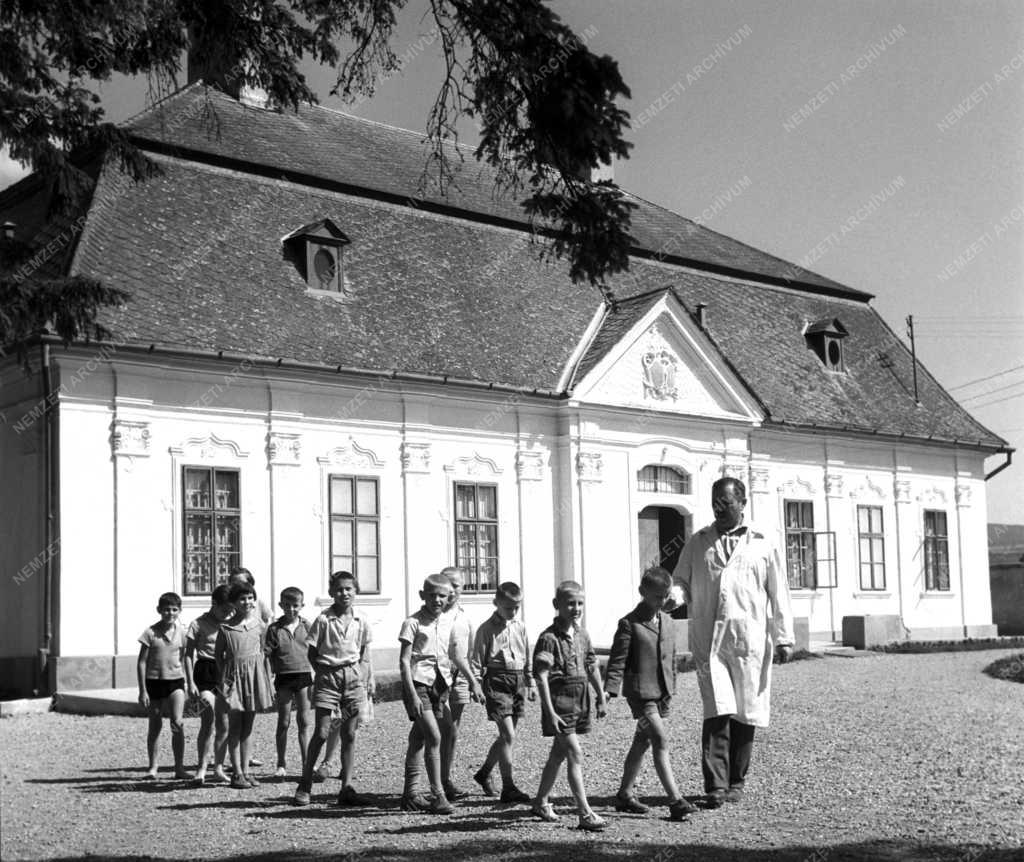 Gyermekvédelem - Abaújszántói Gyógypedagógiai Nevelőintézet