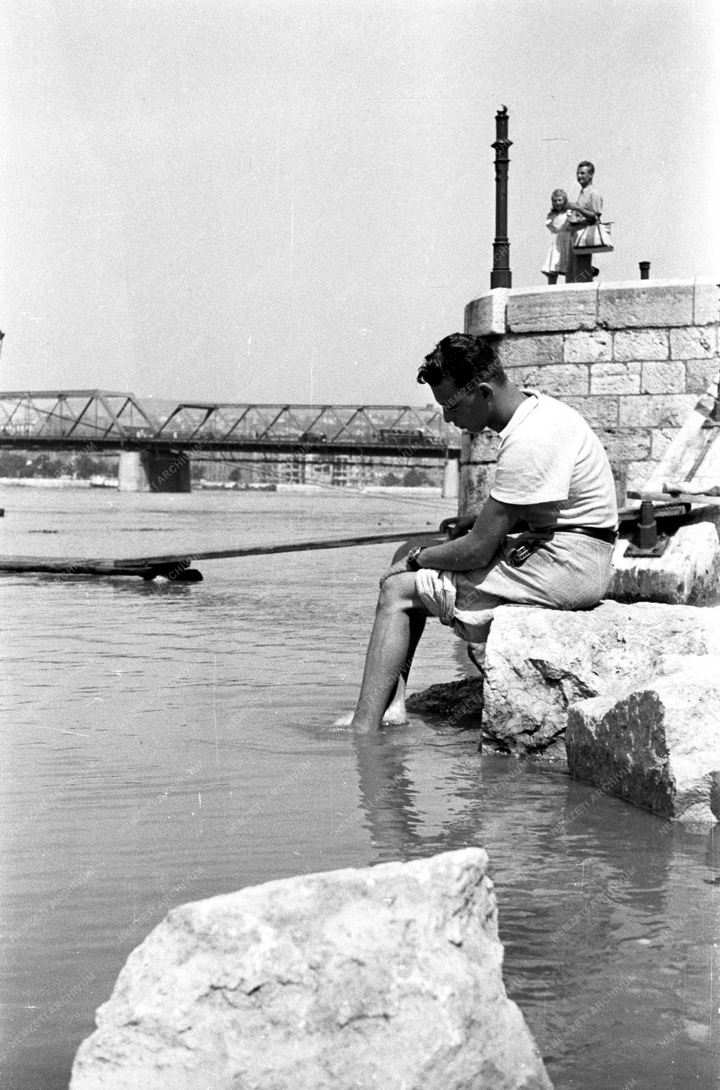 Környezet - Árad a Duna