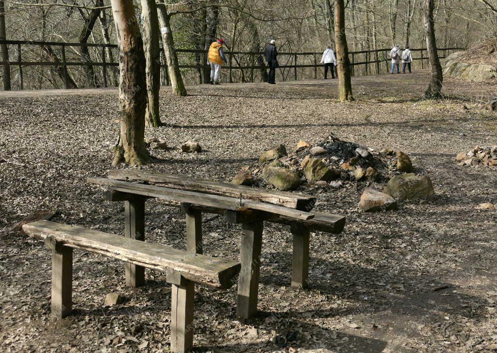 Egészségmegőrzés - Túrázók a budai erdőben