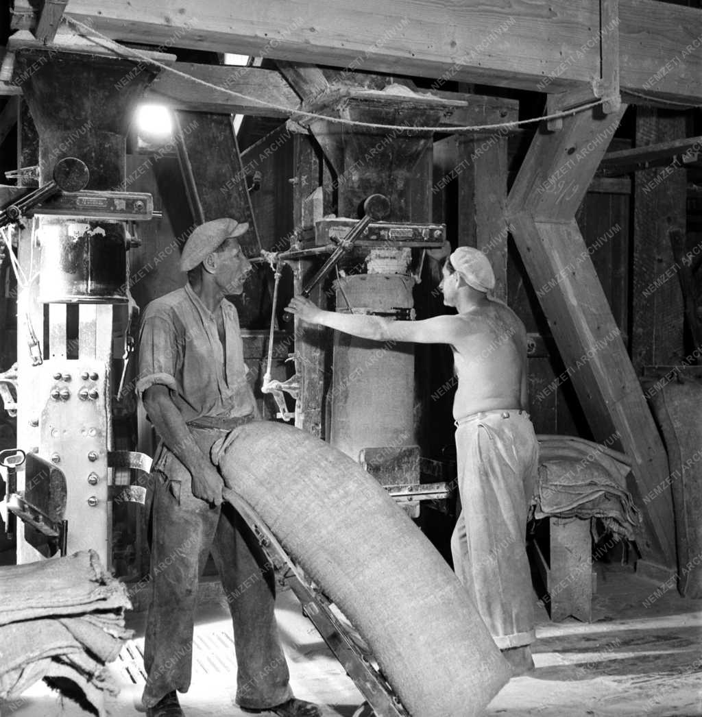 Élelmiszeripar - Búzaőrlés a Gizella-malomban