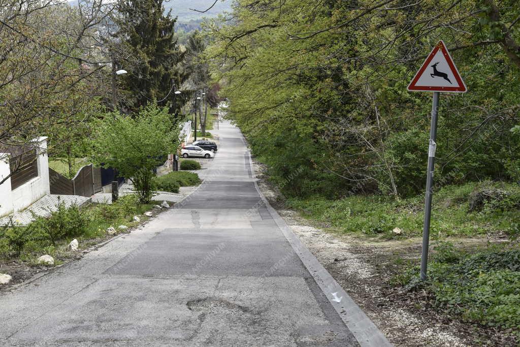 Városkép - Budapest - Meredek utcák - Határ utca
