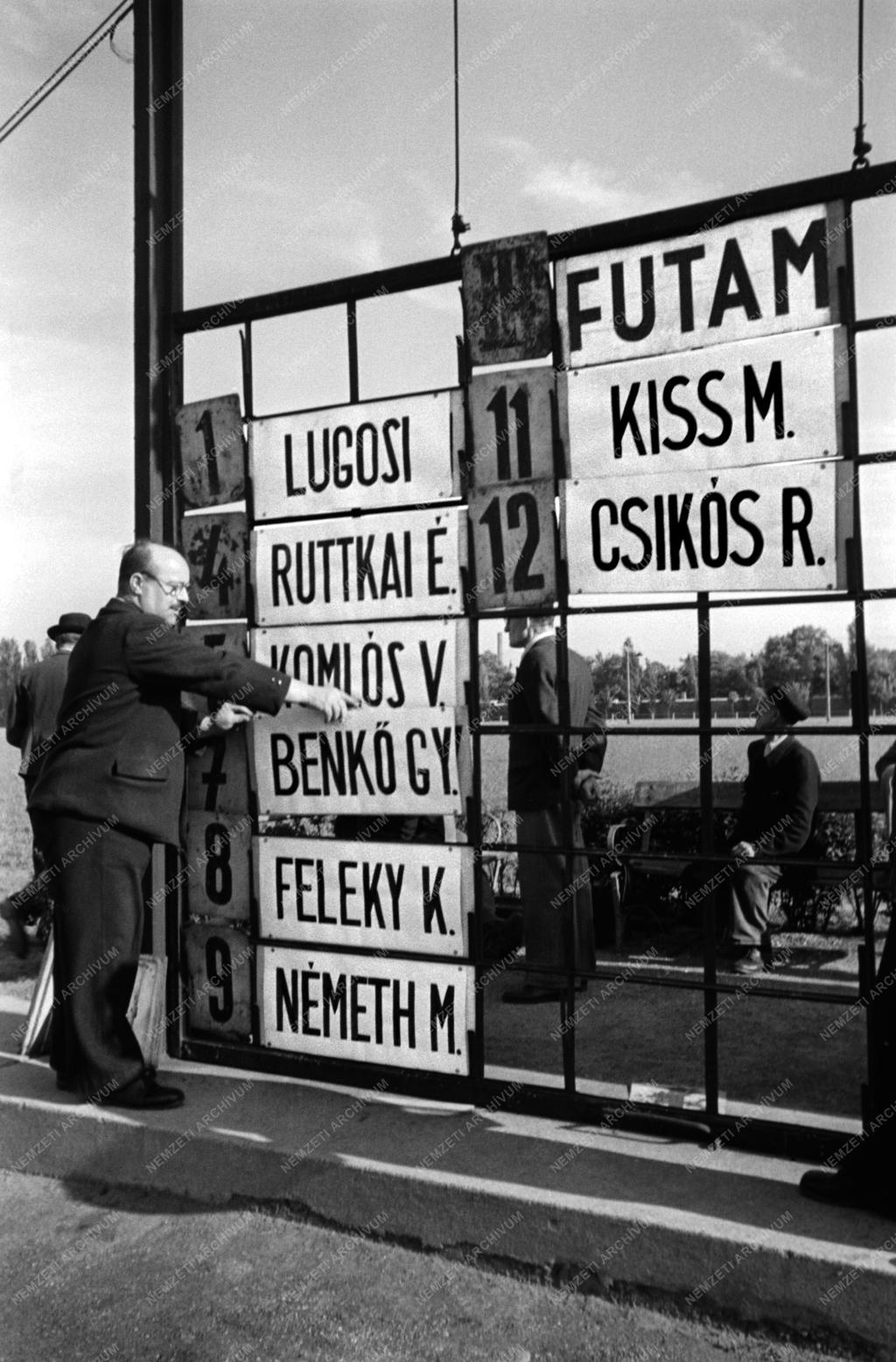 Sport - Színház - Színészek fogathajtó versenye